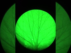 নাইট ভিশন প্রভাব